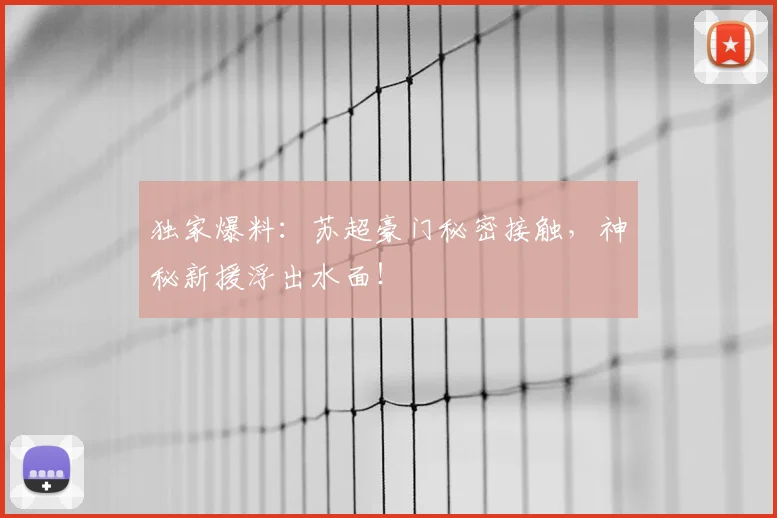 独家爆料:苏超豪门秘密接触,神秘新援浮出水面!