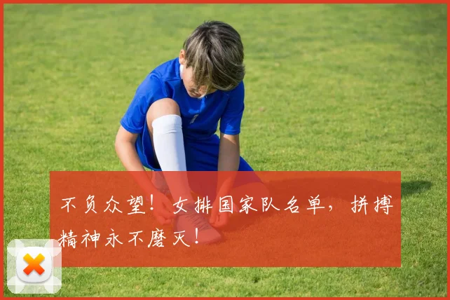 不负众望!女排国家队名单,拼搏精神永不磨灭!